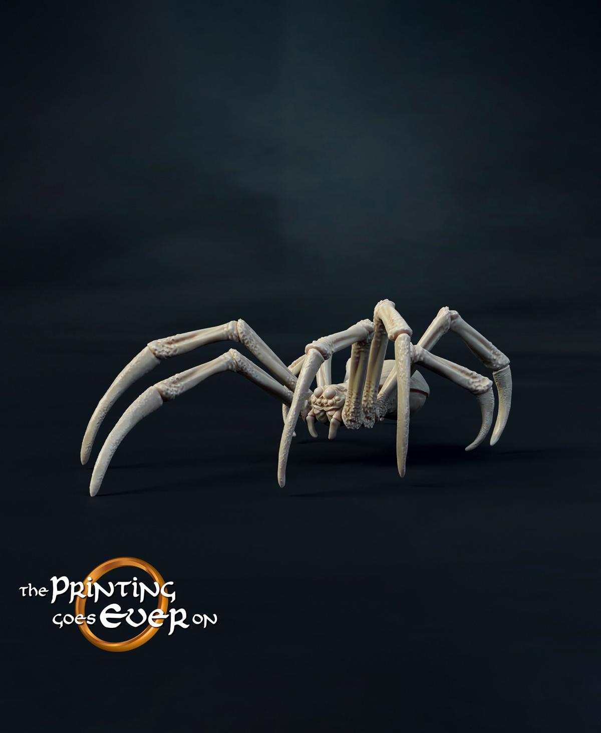 Medium Spider A 3d model