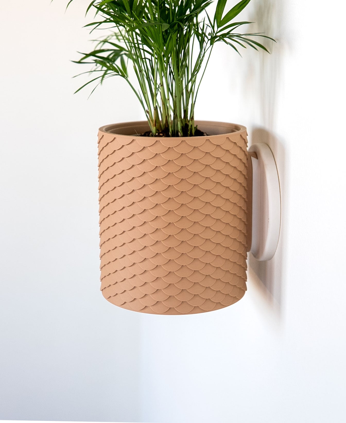 Scales Planter with Hidden Drip Tray 3d model