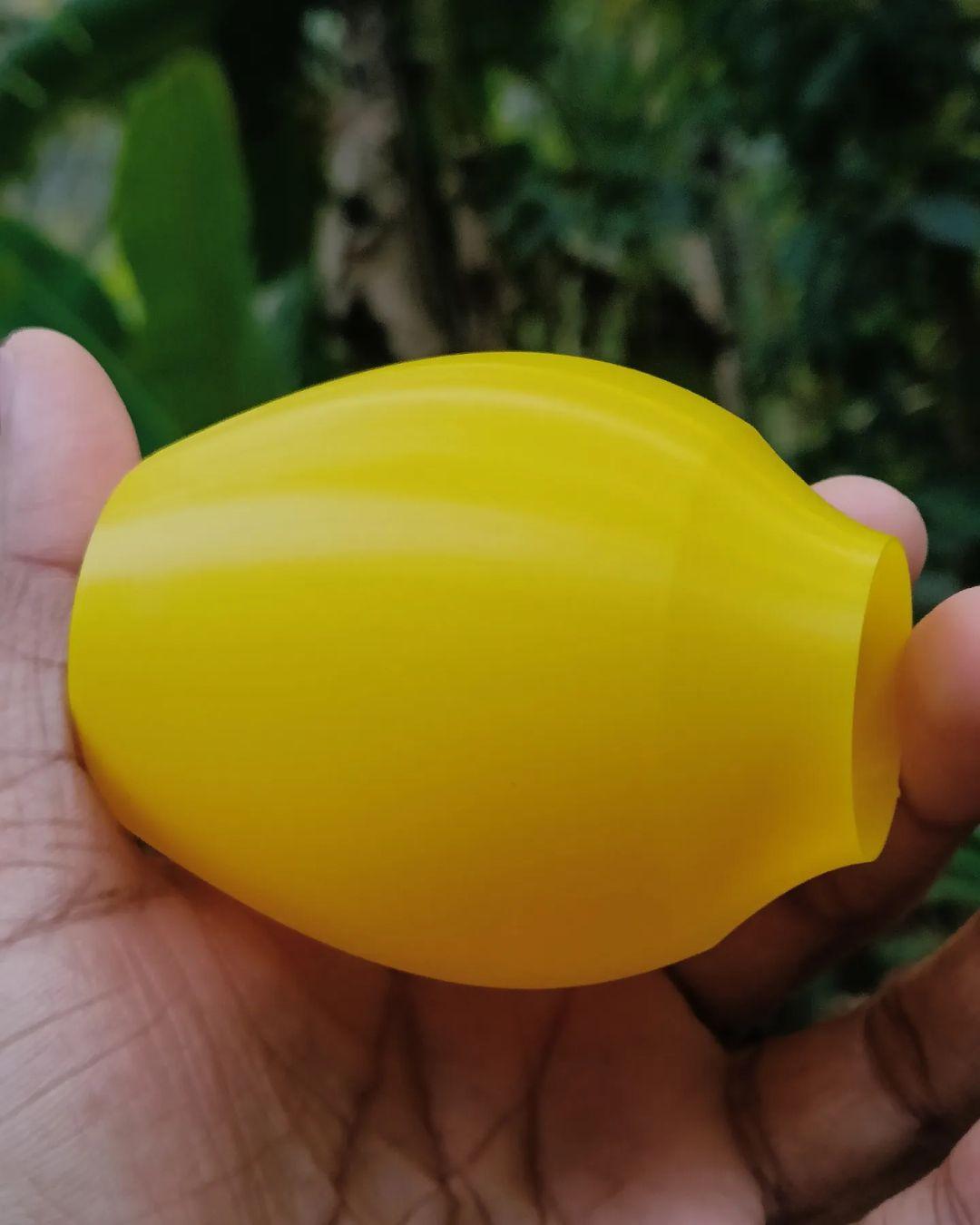 Mini Lemons 3d model