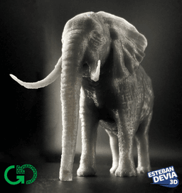 Elephant With Its Trunk Down - Elephant print with trunk down - 3d model