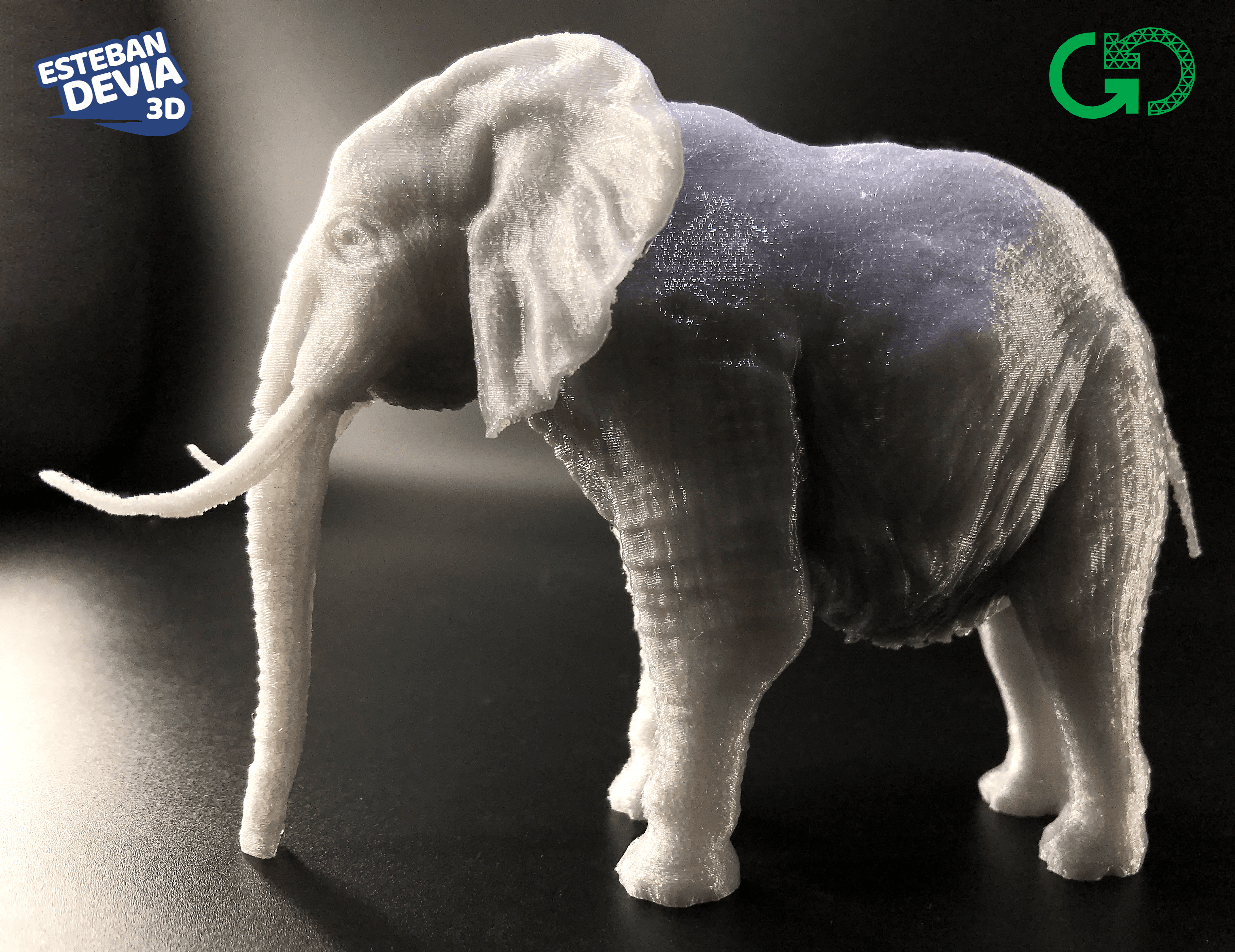 Elephant With Its Trunk Down 3d model