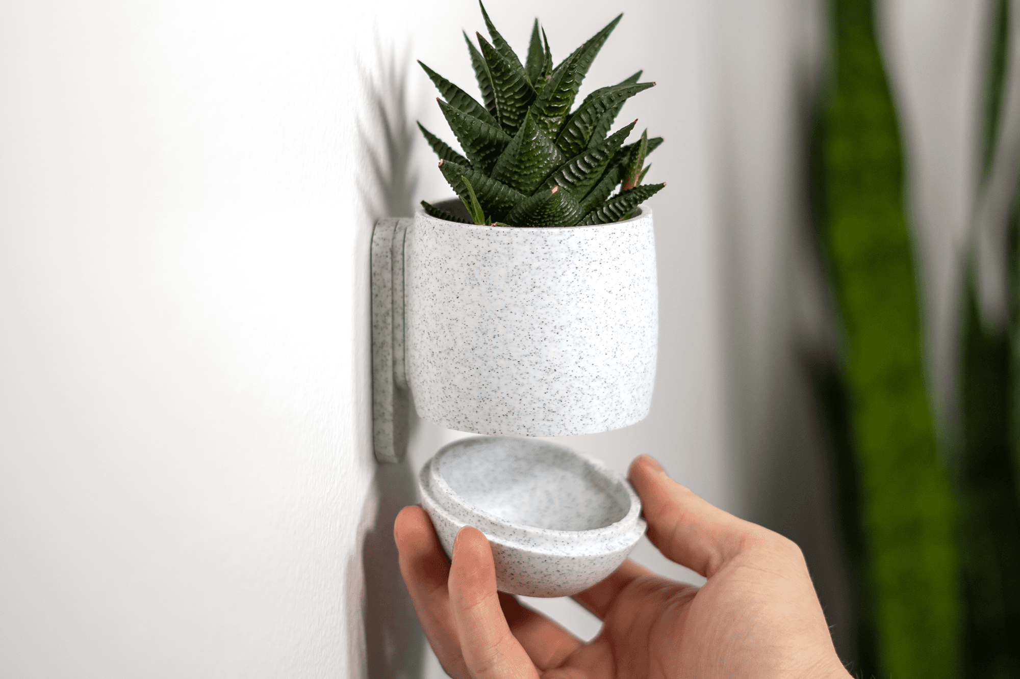 Simple Cup Planter 3d model
