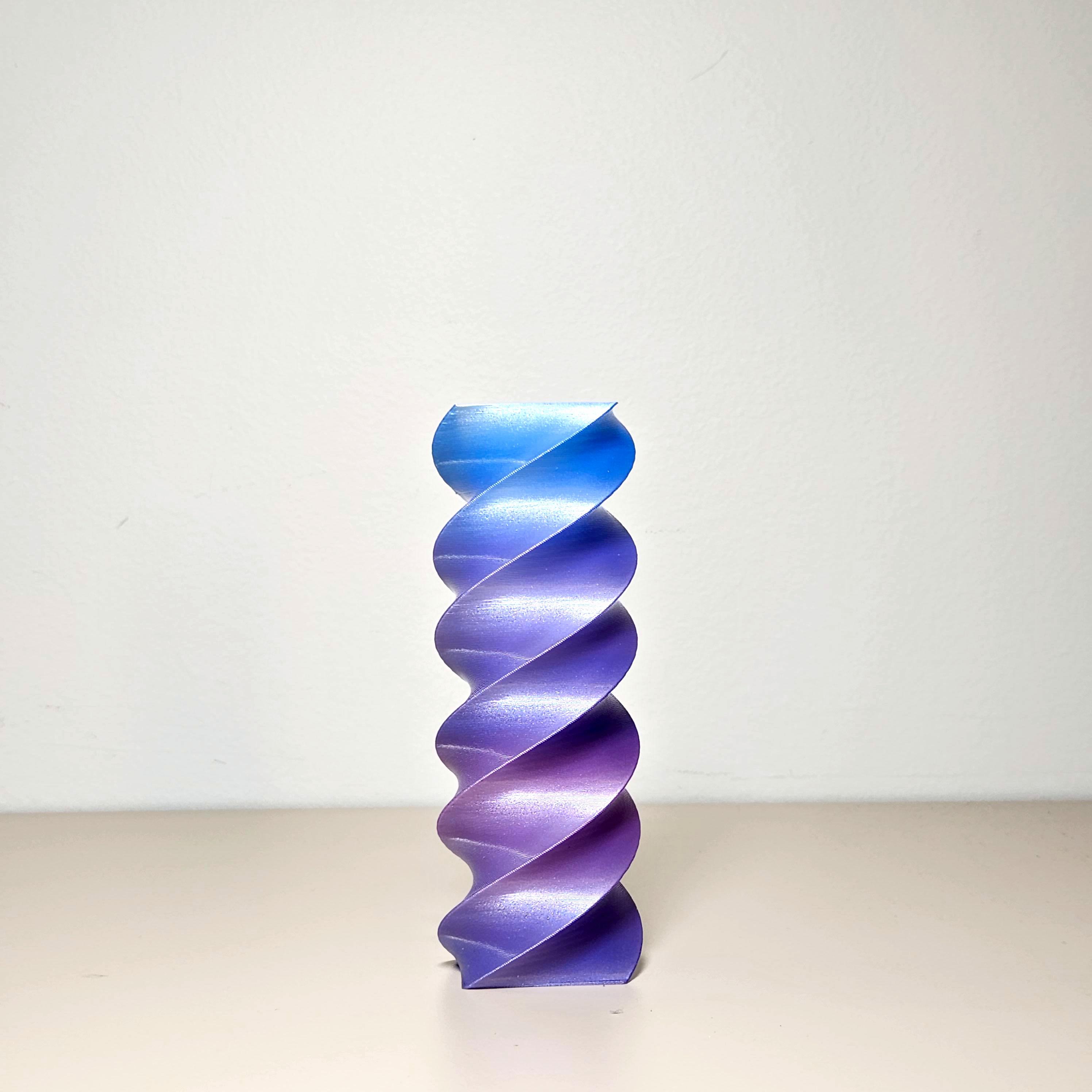 Twisted Rectangle Vase 1 3d model