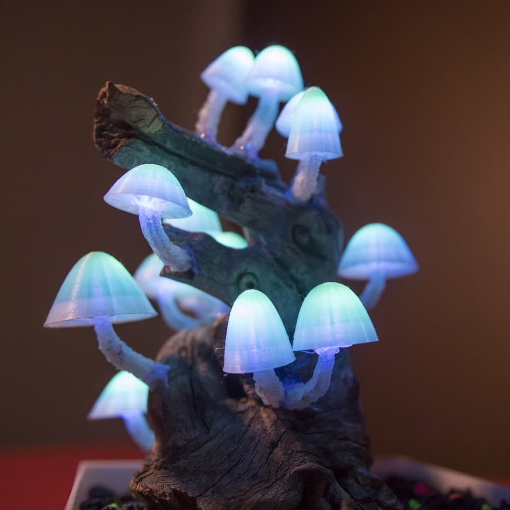 Mushroom Caps for Glowing Mushroom Light 3d model