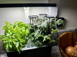 Aerogarden Single Trellis 3d model