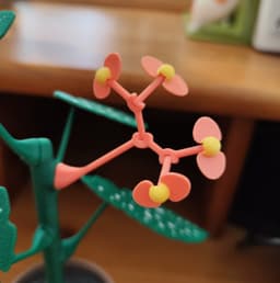 Begonia plant with a secret 3d model