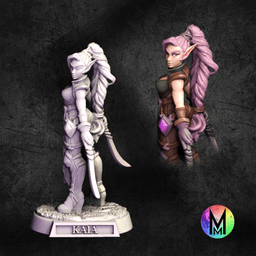 Female Elf Fighter / Ranger - Kaia the Wood Elf Fighter / Ranger (Female elf with two swords ) 3d model