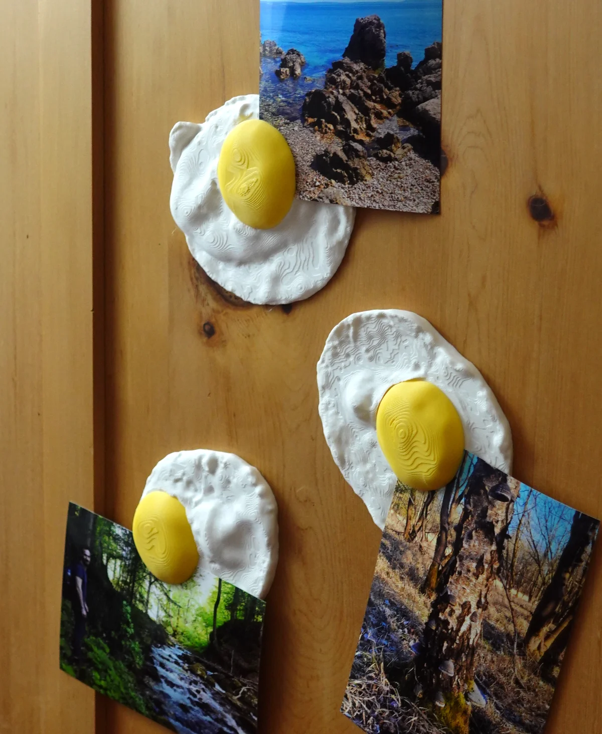 Photo holder eggs 3d model