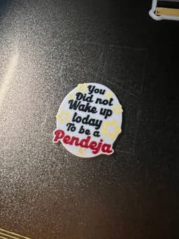 You did not wake up today to be a Pendeja 3d model