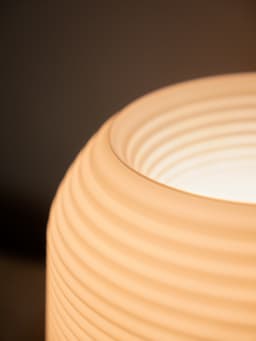 Mushroom Lamp 3d model