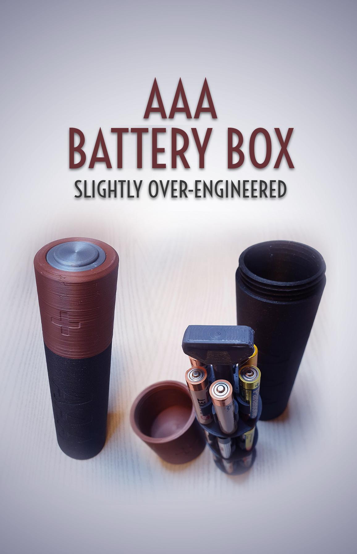 AAA Battery Box 3d model