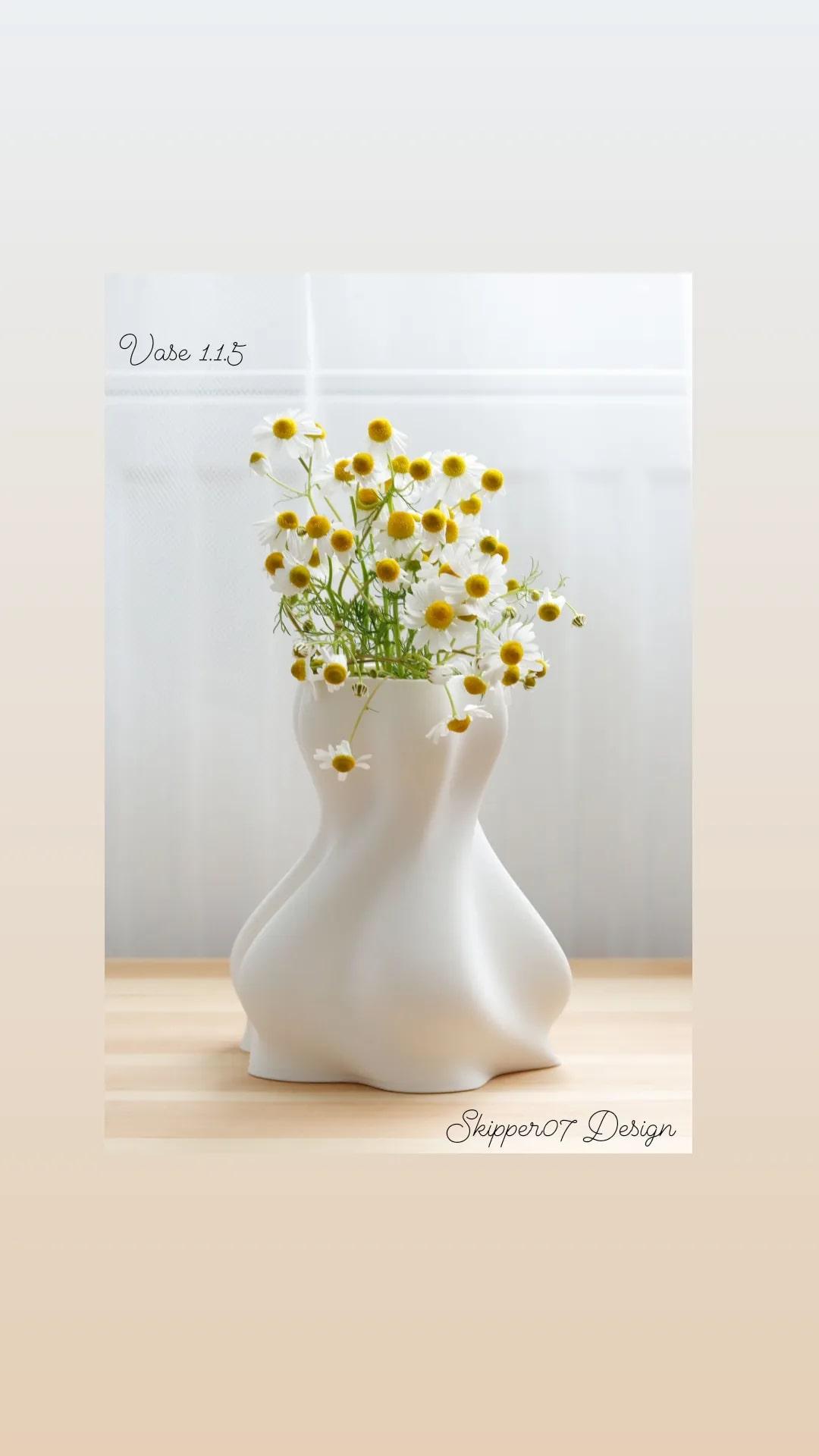 Vase  1.1.5.stl 3d model