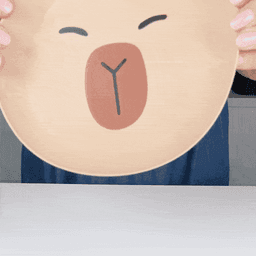 Go Wild Tray Collection (Capybara, Koala & Bear) 3d model