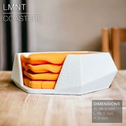 LMNT_coaster-rack.stl 3d model