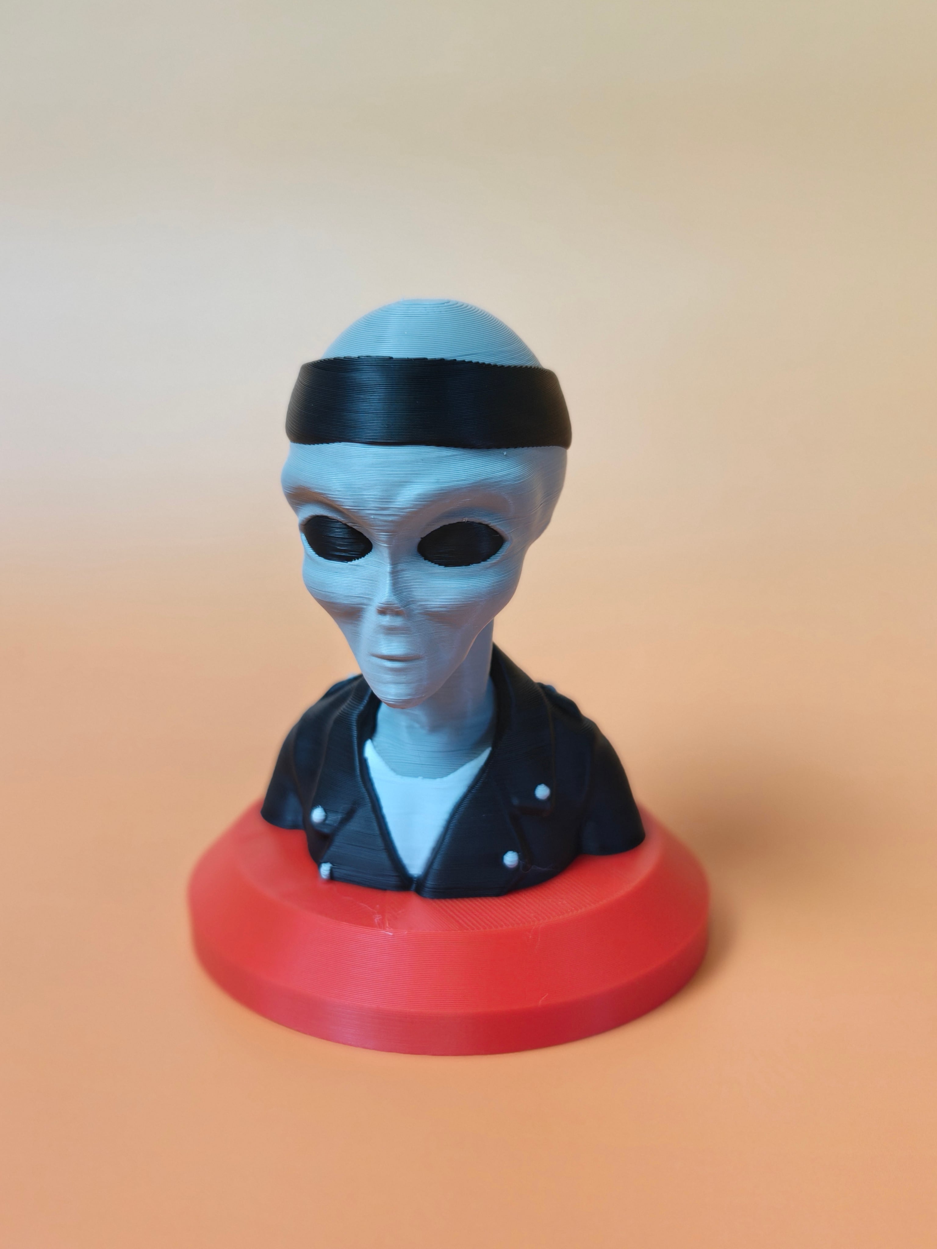 Rebel Biker Grey Alien Bust 3d model