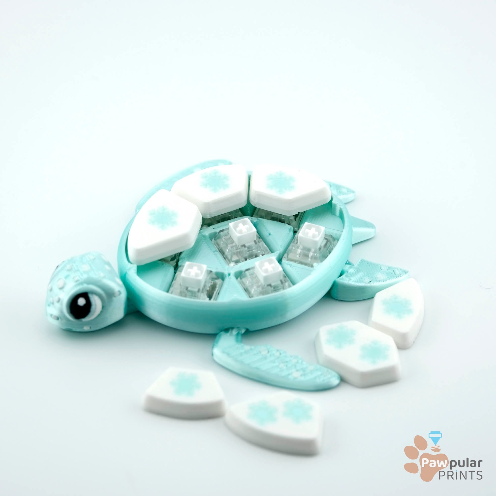 Winter Turtle Paint Pack 3d model