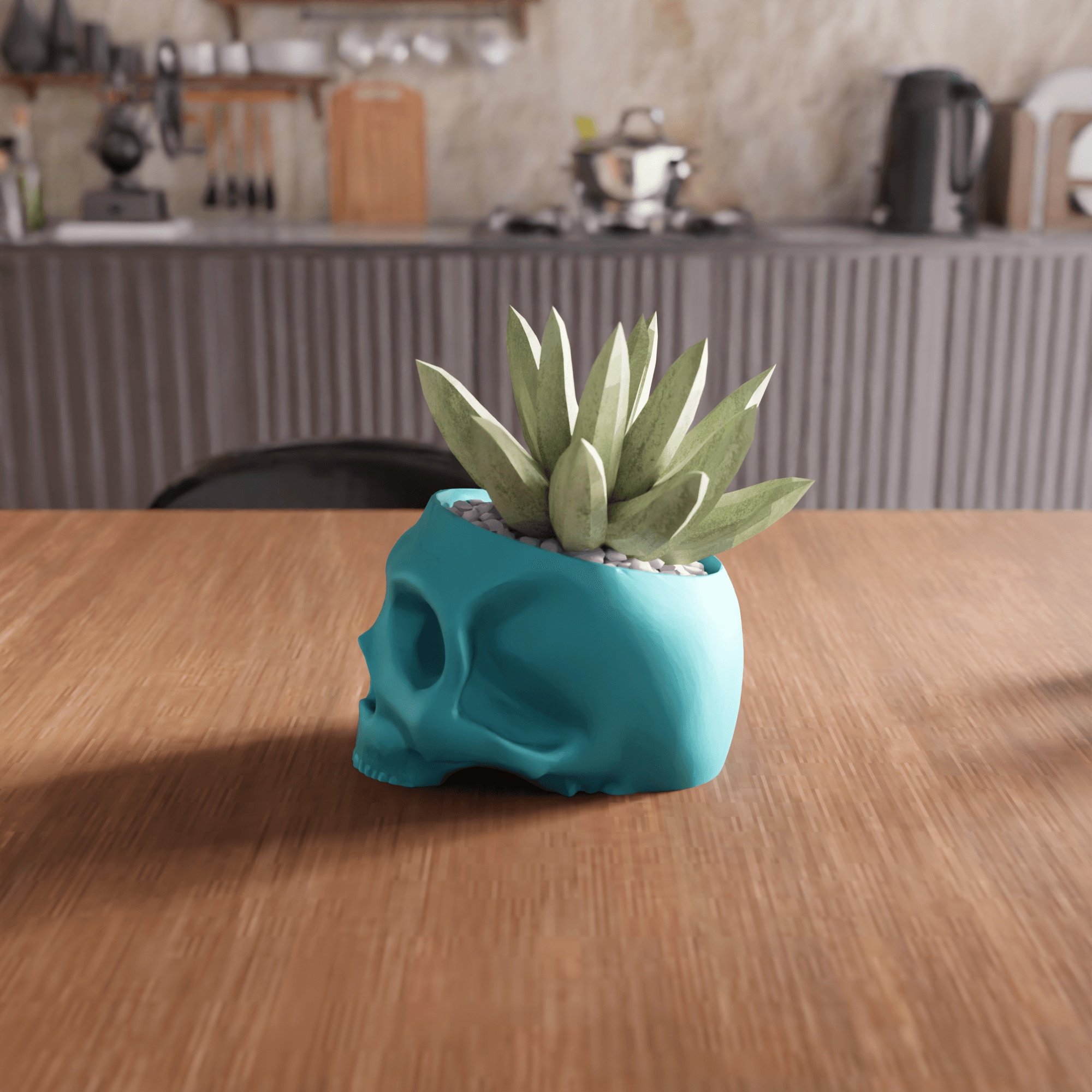 Anatomical Skull Planter 3d model