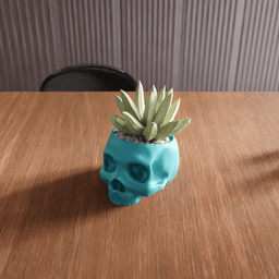 Anatomical Skull Planter 3d model