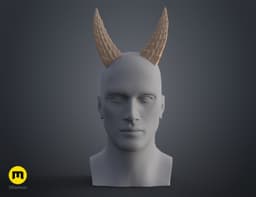 Faun Horns 3d model