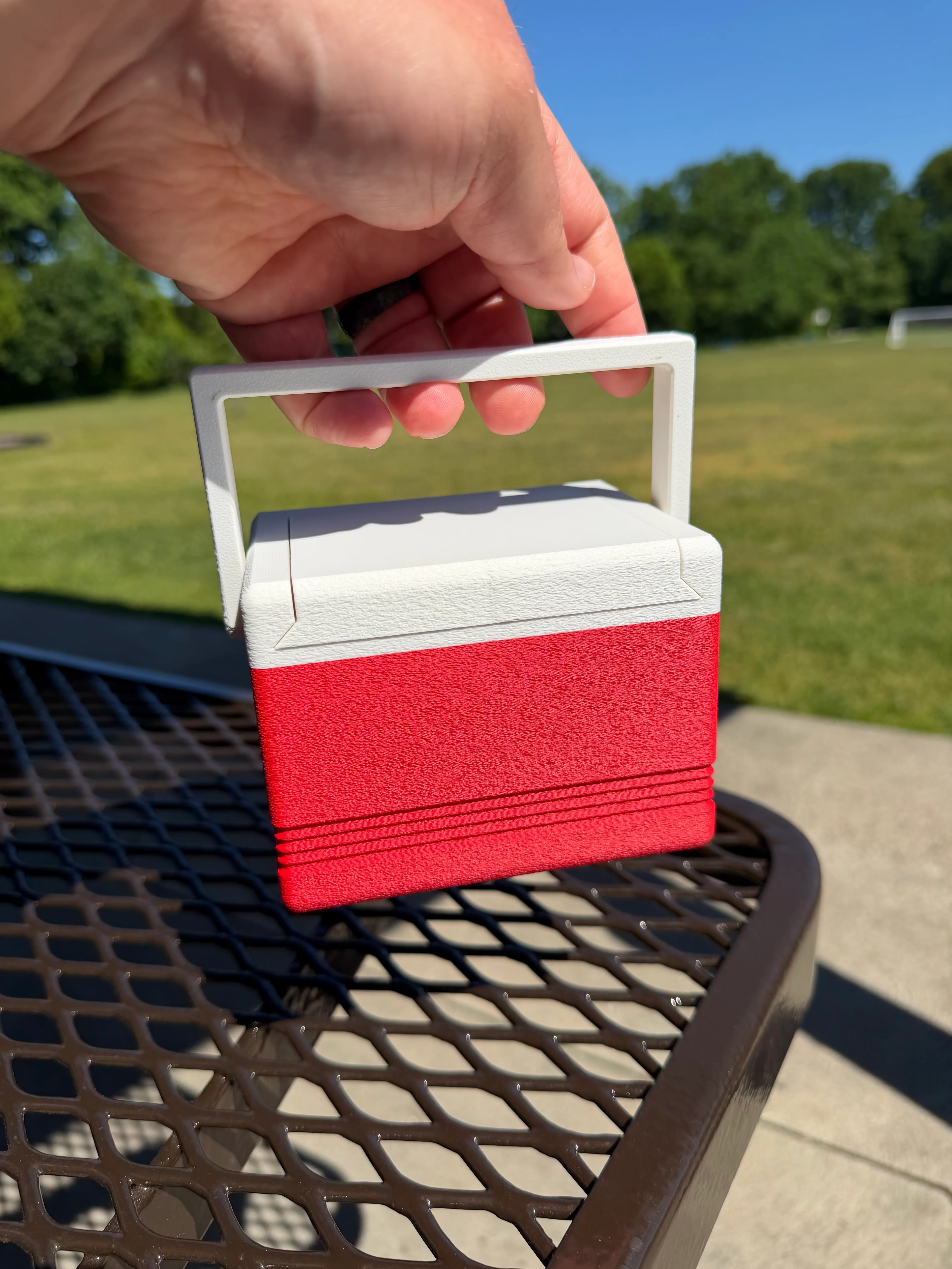 Lunch Cooler Deck Box 3d model