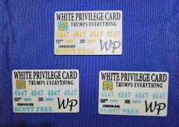 White Privilege Card Trumps Everything Satire Card 3d model