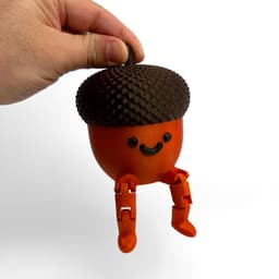 Acorn Pal 3d model