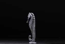 Seahorse Exoskeleton with Base 3d model