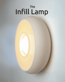 Infill Lamp 3d model