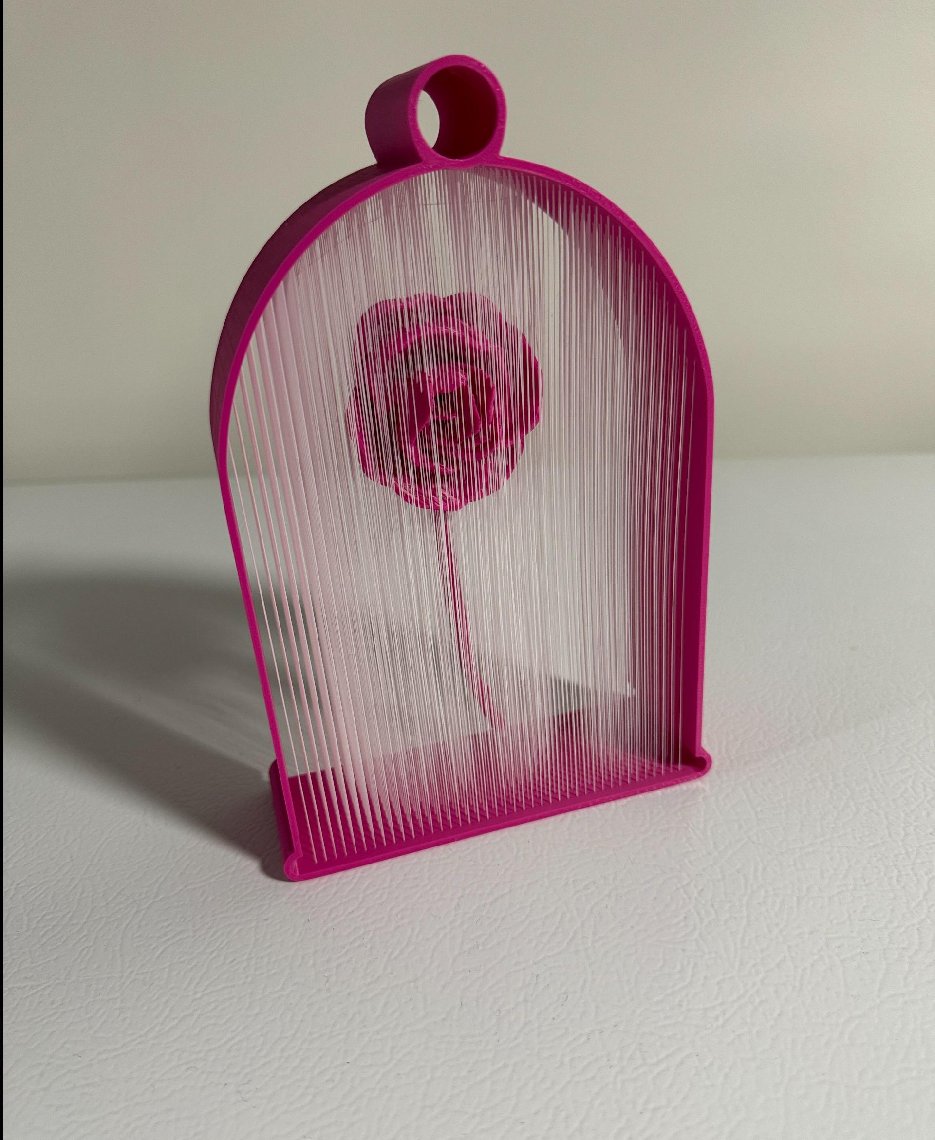 Suspended Rose String Art - Magenta and white.
A couple of thread breaks on the initial layer, but the rest came out great. - 3d model