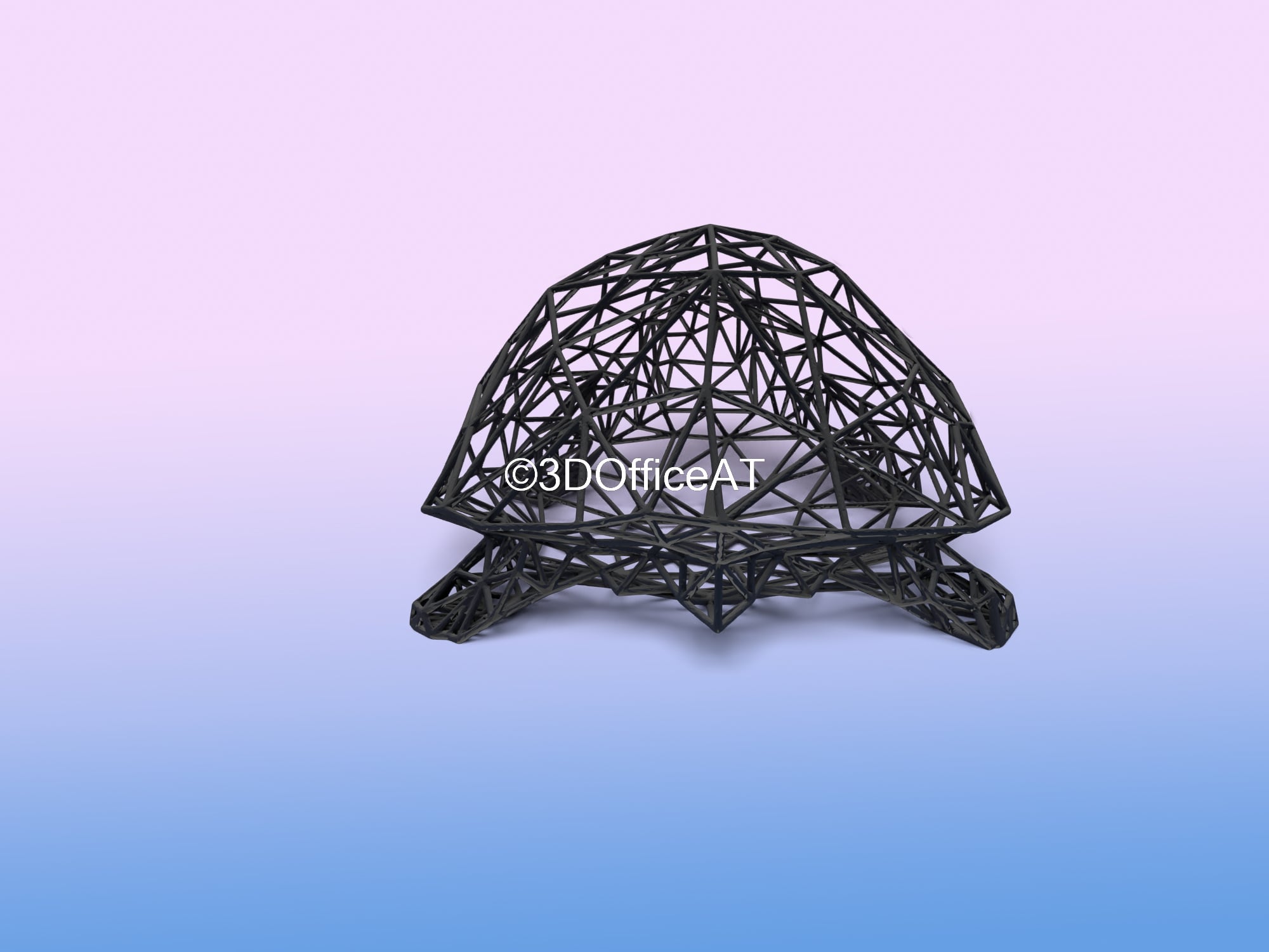 Turtle Wire Art 3d model
