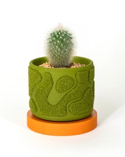 Moss Planter 80x60mm 3d model