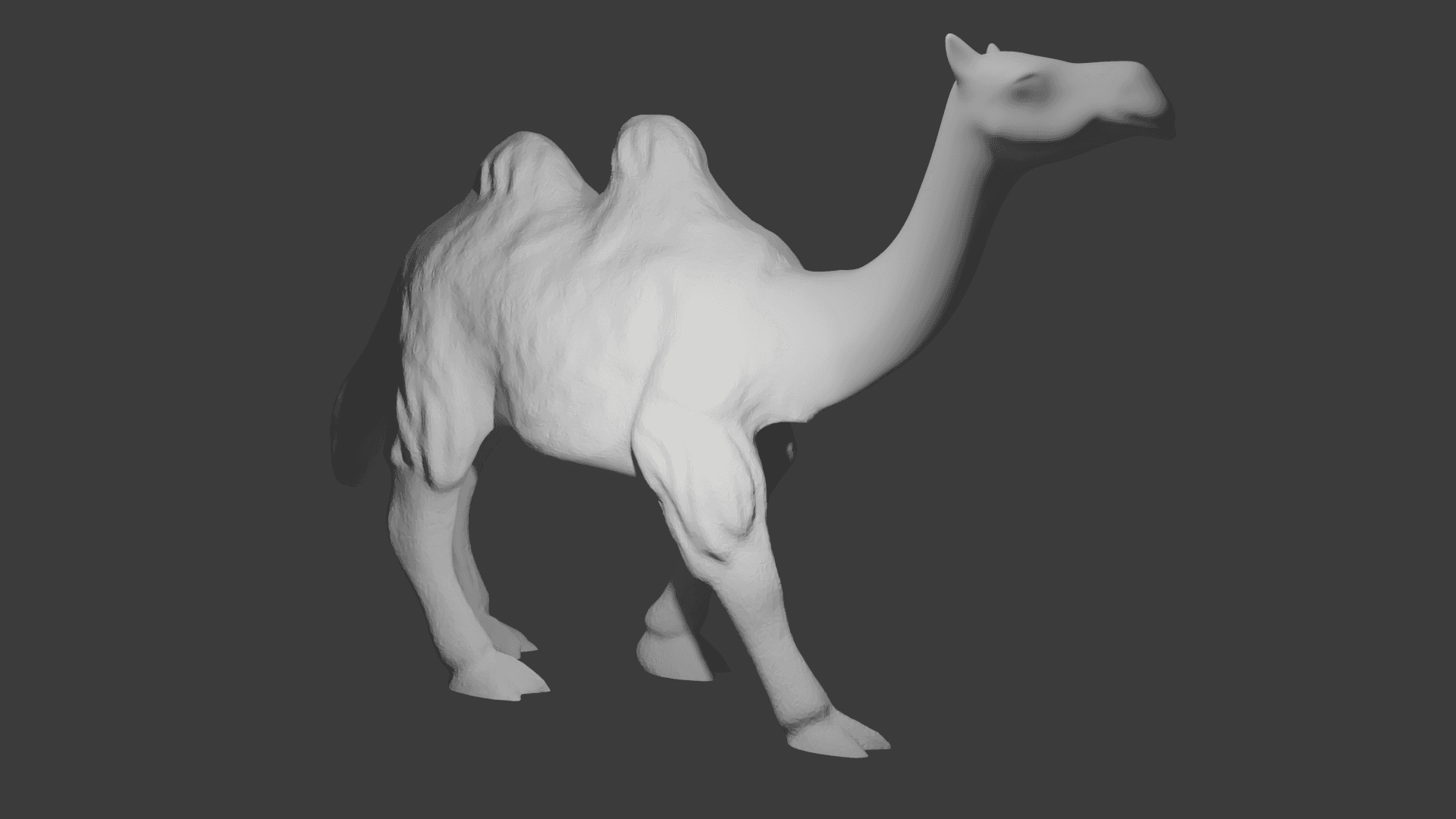 Vero cammello (True camel) 3d model
