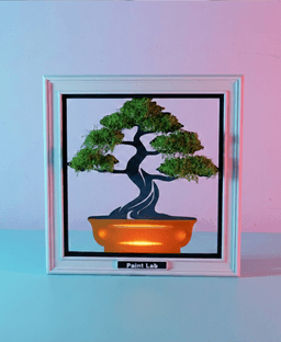 Bonsai Tree 3d model