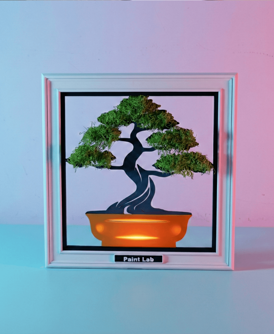 Bonsai Tree 3d model