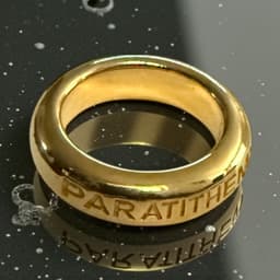 Paratithemi Ring 3d model