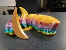 Curled Articulated Shark, reduced file size. 3d model