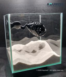 Dragon Egg Betta Fish Cave | Unique Aquarium Decoration | Dual Placement Fish Tank Cave 3d model