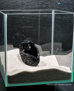 Dragon Egg Betta Fish Cave | Unique Aquarium Decoration | Dual Placement Fish Tank Cave 3d model