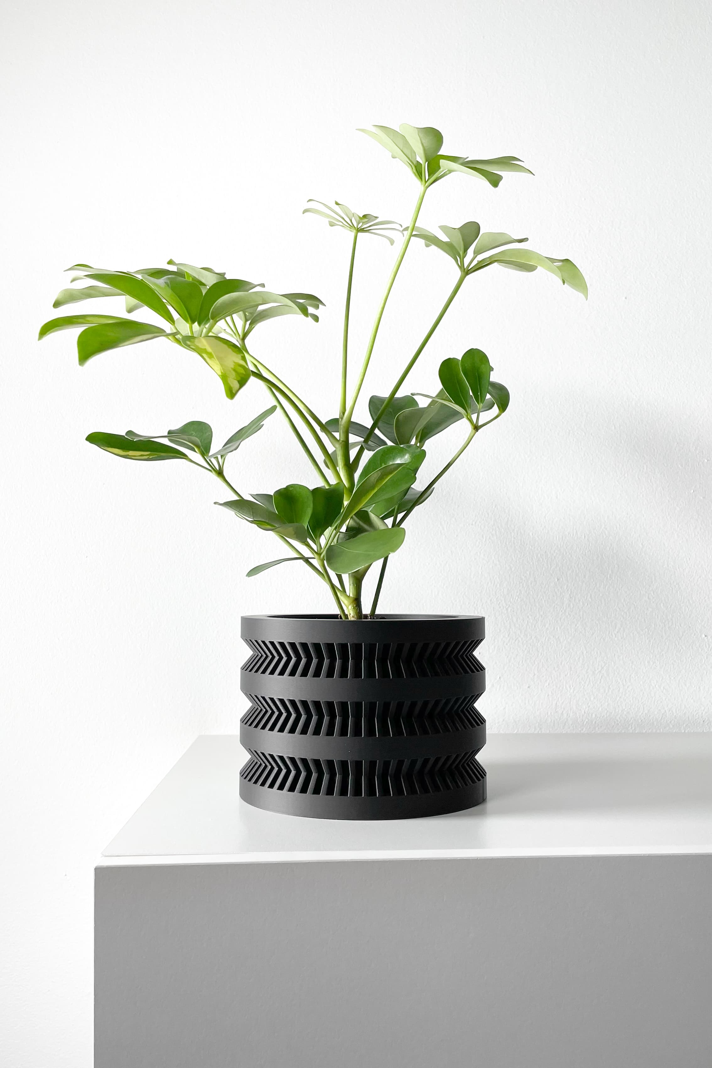 The Civen Planter Pot with Drainage Tray & Stand Included | Modern and Unique Home Decor 3d model