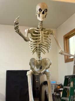 12 foot skeleton elbow fix 3d model
