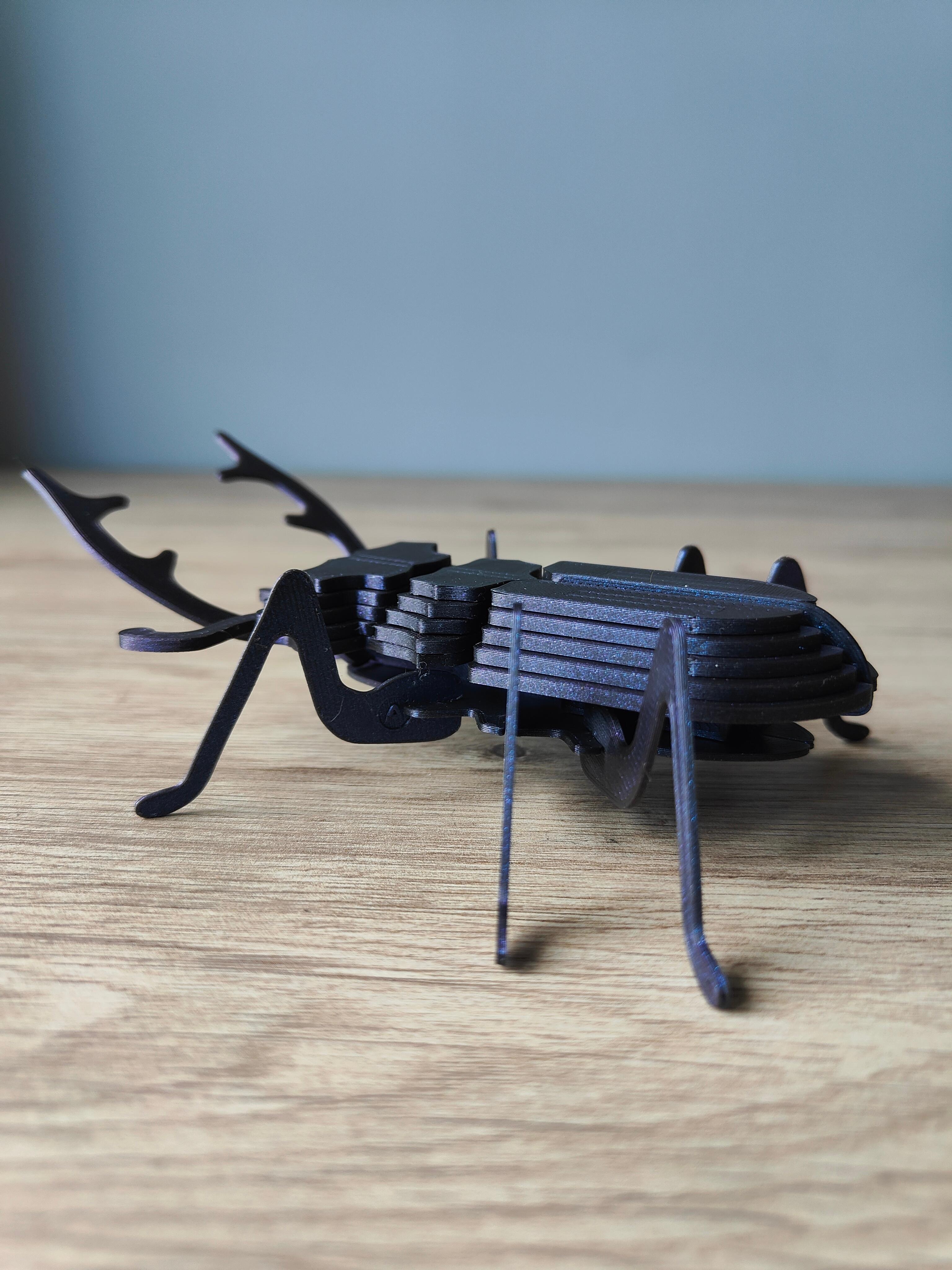 Stag Beetle Buildable Animal Figure 3d model
