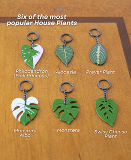 Leafy Keys - Houseplant Keychains - Monstera Albo plant leaves for car keys 3d model