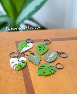 Leafy Keys - Houseplant Keychains - Monstera Albo plant leaves for car keys 3d model
