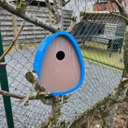 Birdhouse egg 3d model