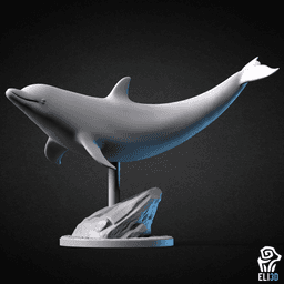 Animals - Ocean Wildlife 3d model