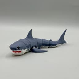 Articulated Great White Shark | Pre-Painted + Optional 6mm Glass Eye Version 3d model