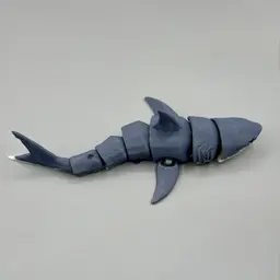 Articulated Great White Shark | Pre-Painted + Optional 6mm Glass Eye Version 3d model