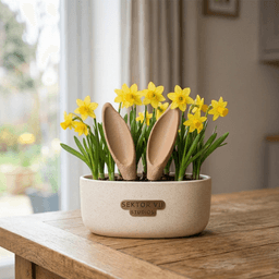 BUNNY EAR FLOWER POT PLUG (WIDER) / CUTE EASTER DECOR / BUNNY EAR / PLANTER DECOR / CUTE BUNNY EARS 3d model