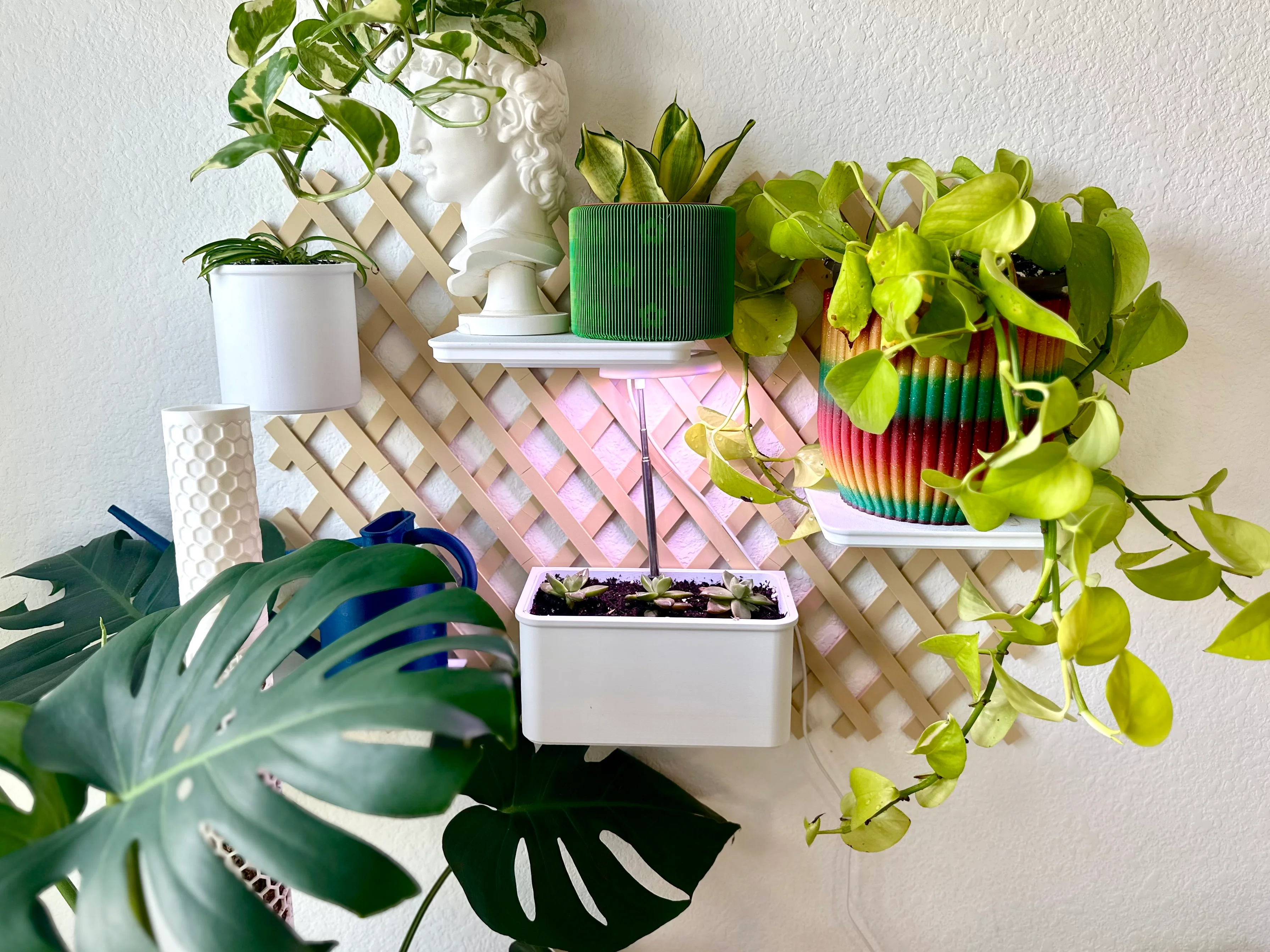 What a perfect addition to my plant wall trellis! The rectangular pot is perfect for succulents since itβs not too deep and the circular pot was perfect for the spider plant baby I had to repot! I will be adding more trellis tiles around my house I just have to get to hanging them up!