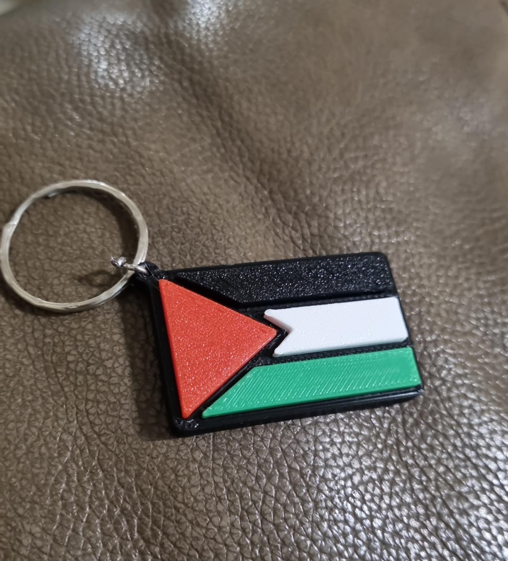 Palestine Flag Keyring 3d model